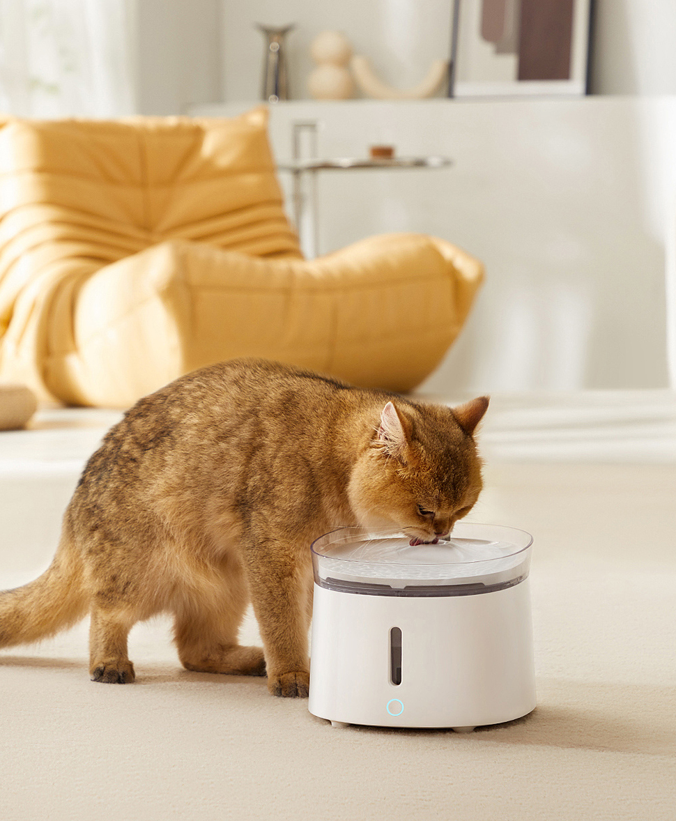 Produkty dla zwierząt domowych